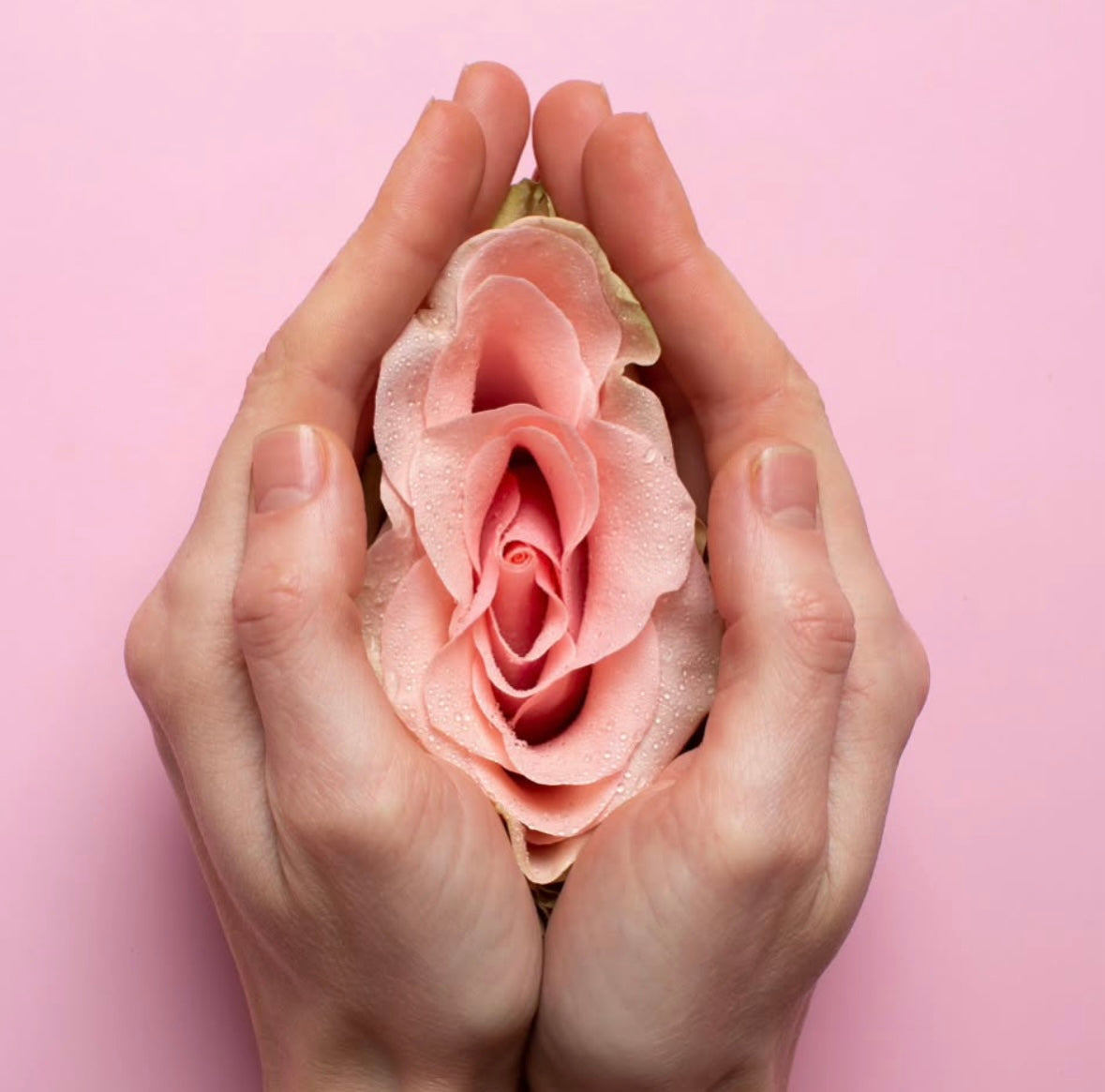 Vulva vs. Vagina: Why Knowing the Difference Matters
